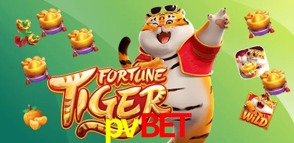 Bonus Features pvbet
